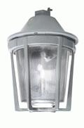 Edwards 107 Series strobe designed for installation in Division 2 environments.  Pendant Mount.