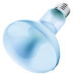 75R30 FLOOD NEODYMIUM 120V (EACH)