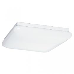Two Light Fluroescent Ceiling
