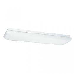 Fluroescent Ceiling Fixture