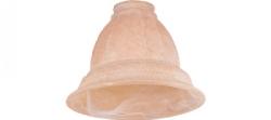 TEA STAIN SLAVO (EACH)