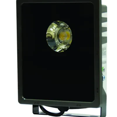 Loading Dock Light, Modular, 37 WTT, 2373 LM, LED, Black