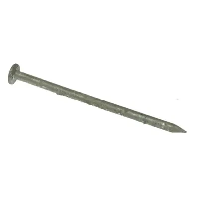 10D Hot Dipped Galvanized Box Nail Steel