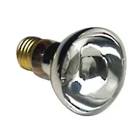 R20CL100/12V