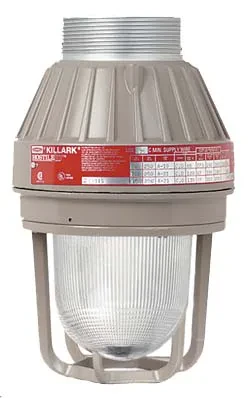 EBF131