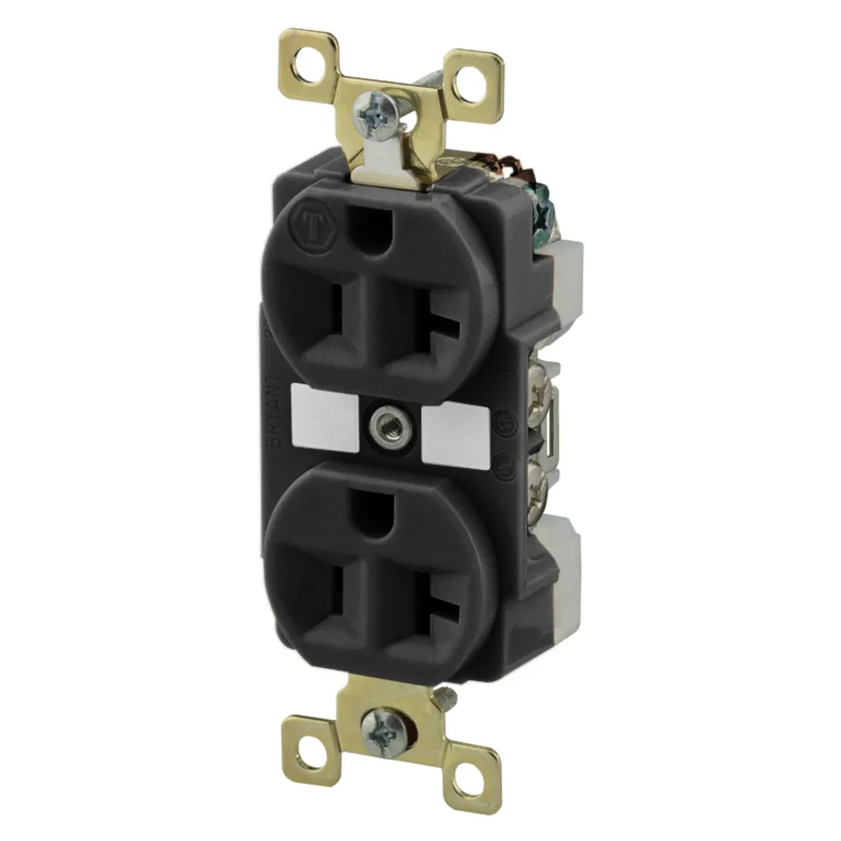 Bryant Electric BRY5362BLK Electrical Receptacles product image