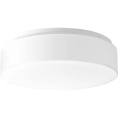 LED flush mount with white acrylic diffuser mounts to baked enamel ceiling pan. Twist on installation with a single locking thumb screw. UL approved for damp locations. Ceiling or...