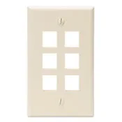Leviton Manufacturing 41080-6TP Wallplates product image