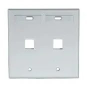 Leviton Manufacturing 42080-2GP Wallplates product image