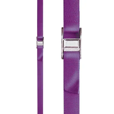 Strap-It(R) Web Strap, 1 in. web width, Purple, 8 ft. length, 1 per pack