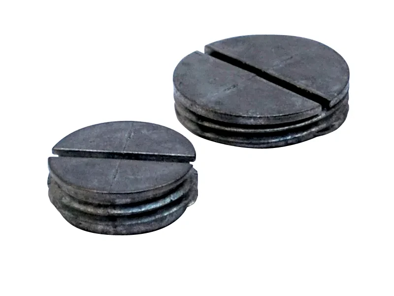 PP100-NSI