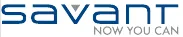 Savant Lighting 4053-1 product image