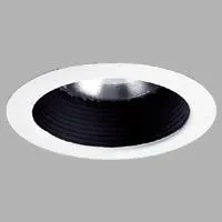 5 in Shallow Baffle Trim in a Black finish. One-piece construction with integral bright white powder painted metal flange.