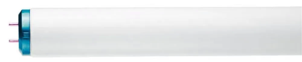 423186