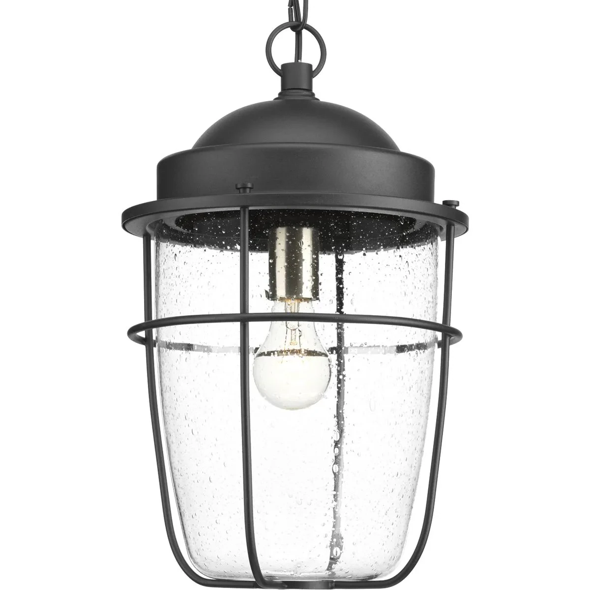 A nautical-inspired collection ideal for a variety of exteriors, including Coastal, Transitional and Urban Industrial settings. The one-light black hanging lantern with clear seede...