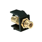 40830-BEE