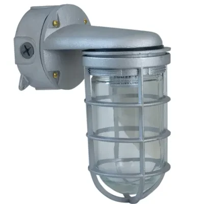 Vaporproof Fixture 3/4" Wall Mount with Cage