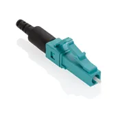 49991-LLC