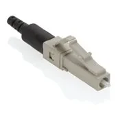 49991-MLC