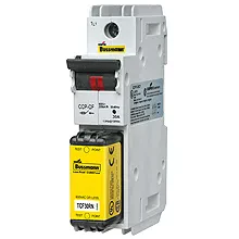 CCP-3-100CF