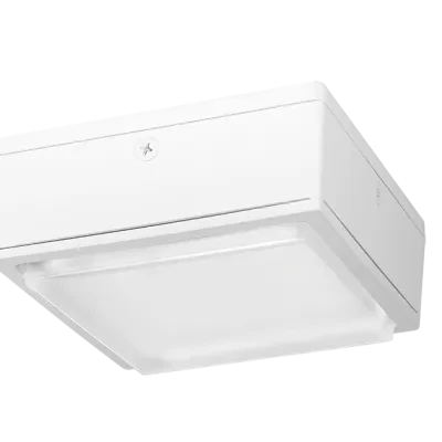 Vandalprood LED, 40W, 5000k, Drop, Clear Lens, 120-277V, 0-10V, White