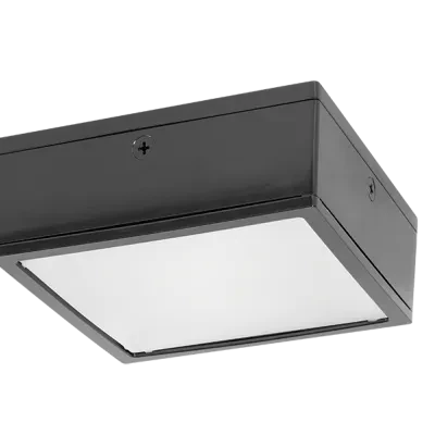 Vandalprood LED, 52W, 5000k, Flat, Clear Lens, 120-277V, 0-10V, Bronze