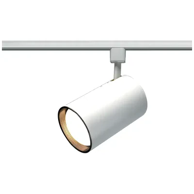 1 Light - R30 - Track Head - Straight Cylinder - White