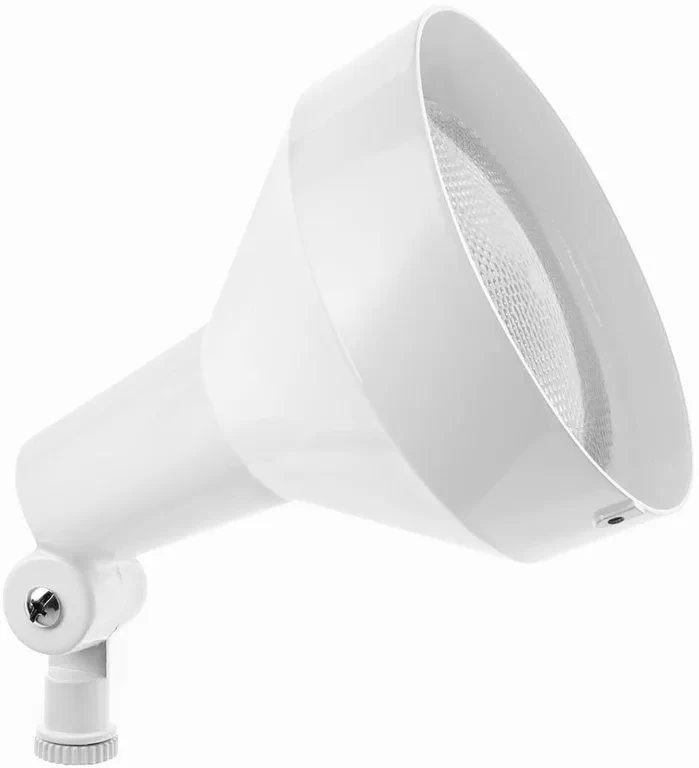 H101W