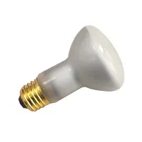 R20FL45