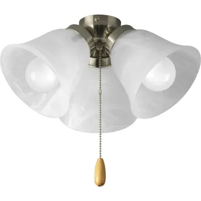 Three-light universal fan light kit features alabaster style glass shades beautiful in design. Brushed Nickel finish corresponds with a Chrome pull-chain and maple fob. Universal s...