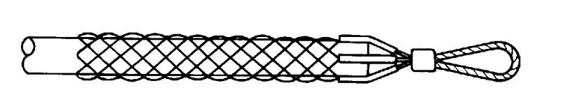30546
