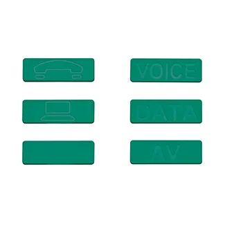 ICONS-ICV