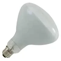 R40FL300/12V