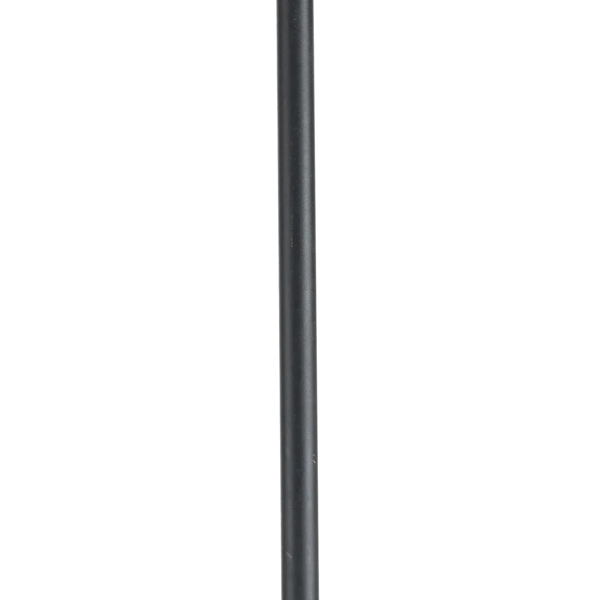 P8601-31