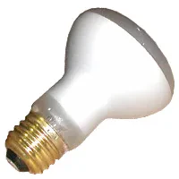 R20FL100/S