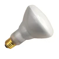 BR30CL100/12V