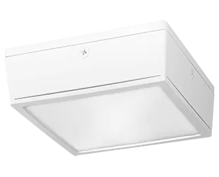 Rab Lighting VANLED52YFFRW Garage Or Canopy Lighting Fixture product image