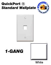 41080-1WP