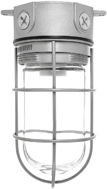VX100G