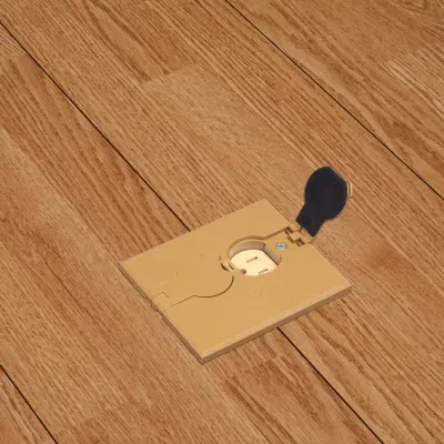 Non Metallic adjustable floor box. Caramel with flip lids. Includes tamper resistant duplex receptacle, cover plate with gasket and Arlington NM94 connector and Arlington NM900 kno...