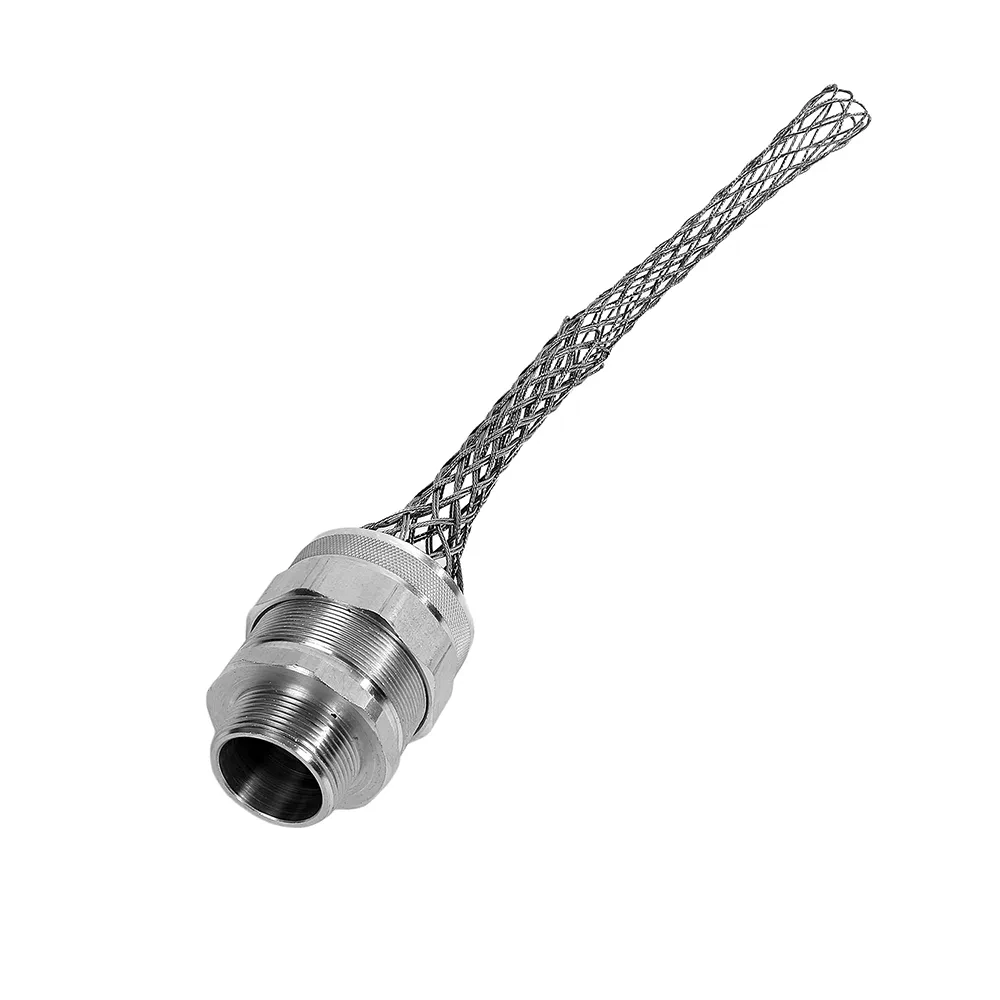 SKR17516