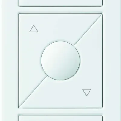 Caseta Wireless Pico remote control, 3-button with raise/lower, light icons in white