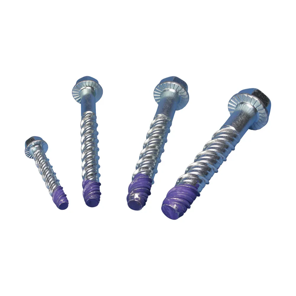 CSBCAS040062EG