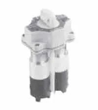 SSBASL23