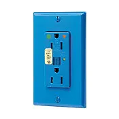 15-Amp, 125 Volt, Decora Plus Duplex Receptacle, Straight Blade, Hospital Grade, Isolated Ground, Surge with Indicator Light, Ivory