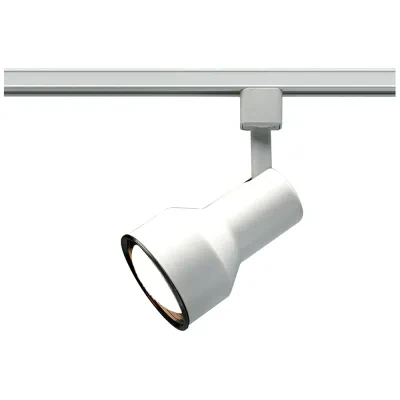 1 Light - R30 - Track Head - Step Cylinder - White