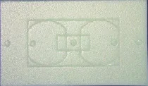 WPI100
