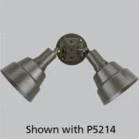 Outdoor double headed non-metallic PAR lampholder in an Antique Bronze finish.