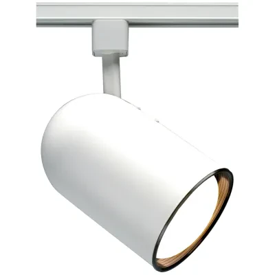 1 Light - R30 - Track Head - Bullet Cylinder - White