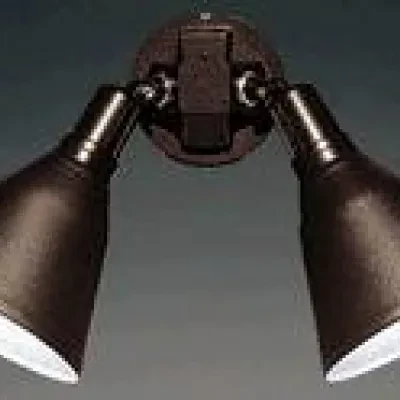 Outdoor adjustable two-headed swivel floodlight in a painted Black finish and solid Aluminum construction.